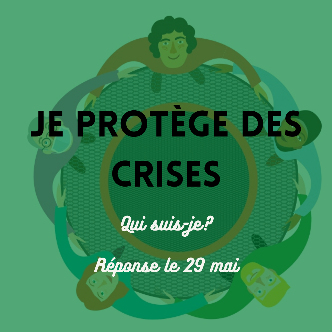 6 protege des crises