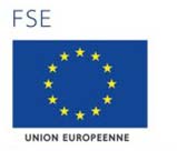 FSE-Union_europeenne.jpg